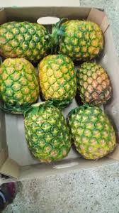 pineapple