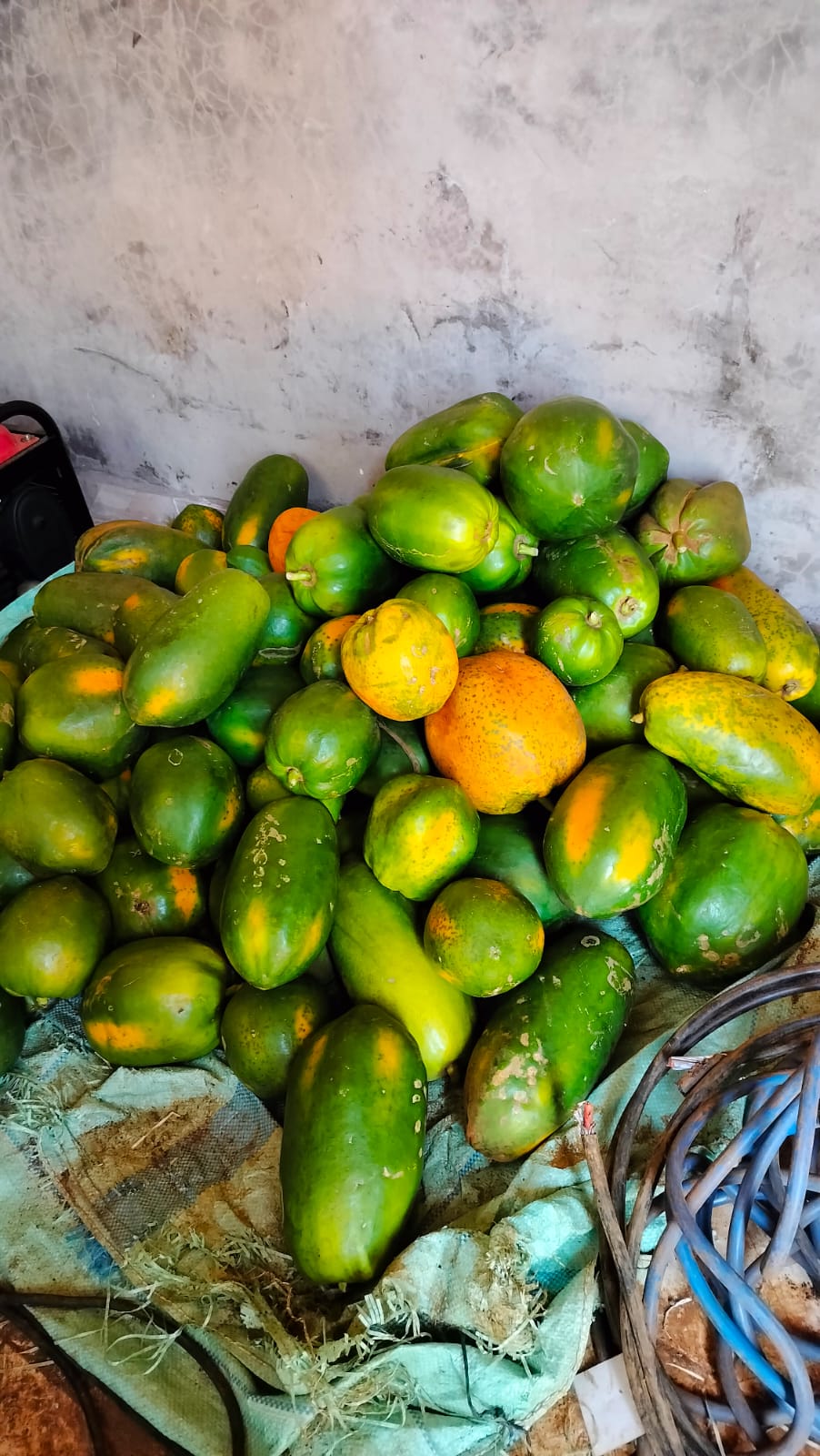 Red-ish Pawpaw (kg)