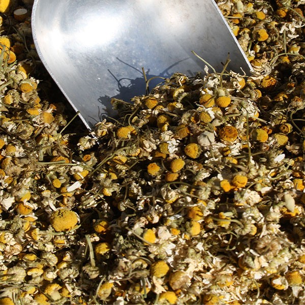 Camomile herb (200grams)