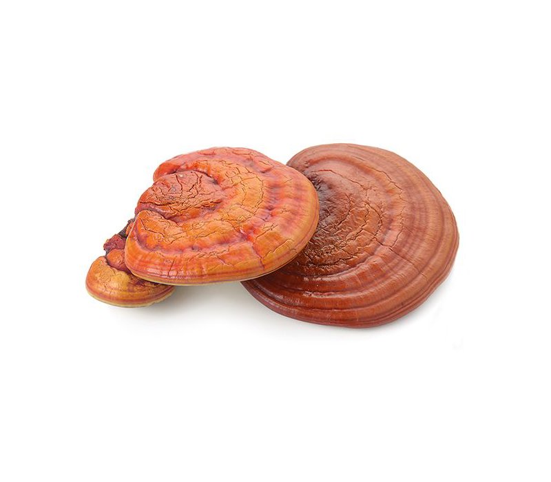 Mushrooms and other horticulture products and services